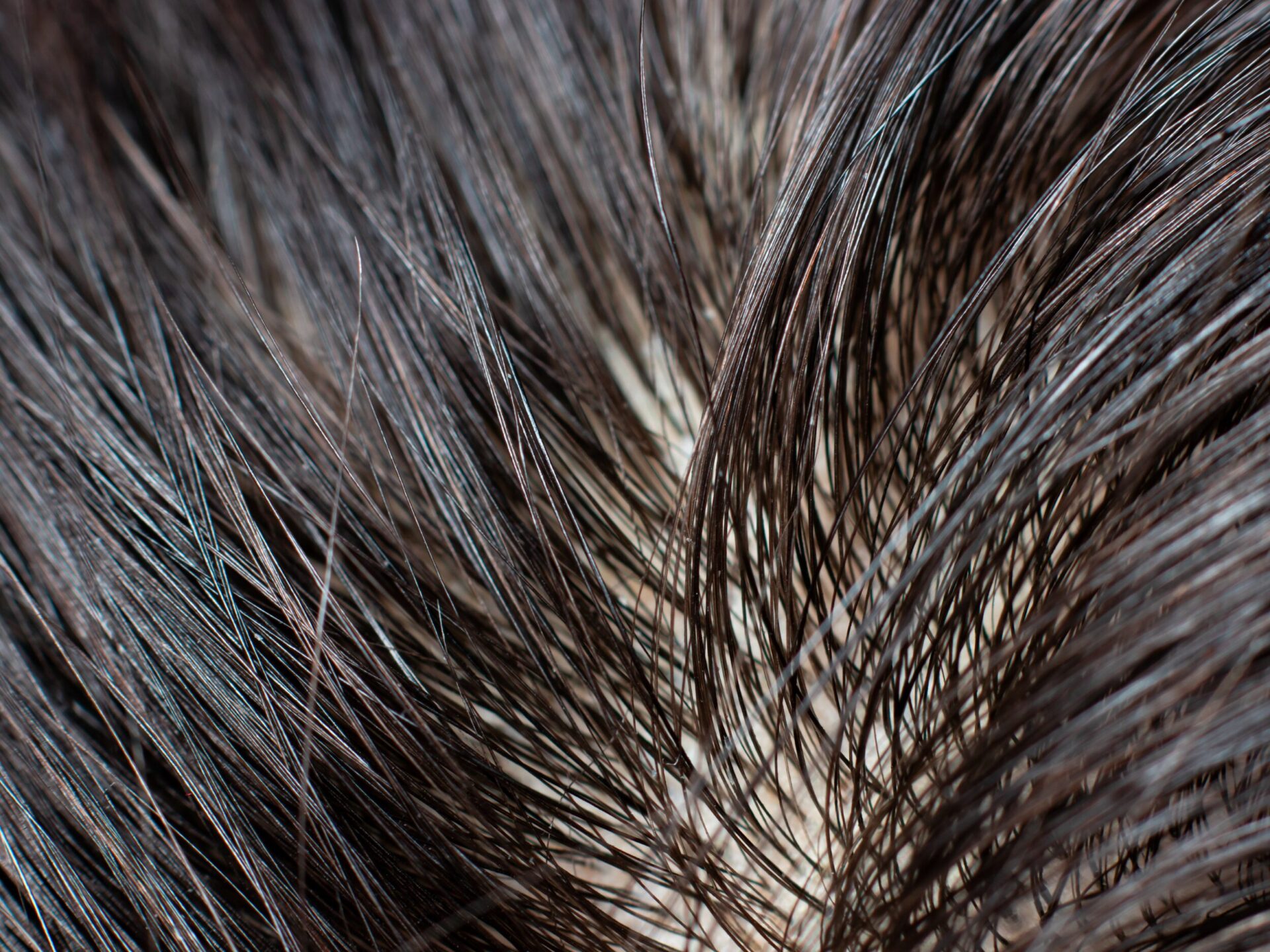 Kenapa Rambut Sering Terasa Lengket?