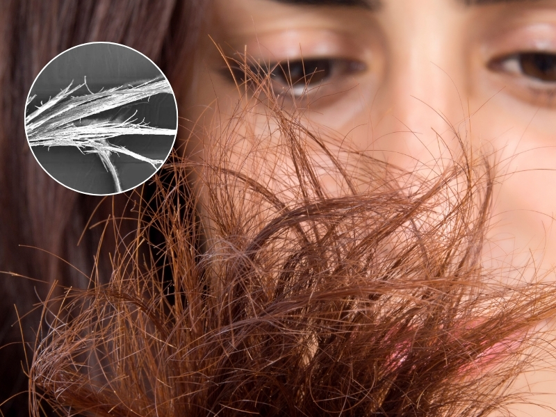 Penyebab Rambut Bercabang dan Cara Menghadapinya